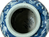 Orient Crackle Blue White Floral Graphic Ceramic Vase ws4713S
