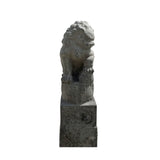 Chinese Pair Gray Stone Fengshui Foo Dogs Lion Slim Pole Statues cs7614S