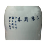 Chinese Blue White Handpaint San Yang Kai Tai Scenery Porcelain Vase ws4759S