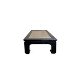 Black Lacquer Rattan Top Rectangular Claw Legs Coffee Table ws3789S