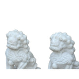 Pair Chinese White Marble Stone Fengshui Foo Dogs Lions Statue ws3626S