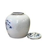 Chinese Blue & White Flower Bird Graphic  Porcelain Ginger Jar ws2990S