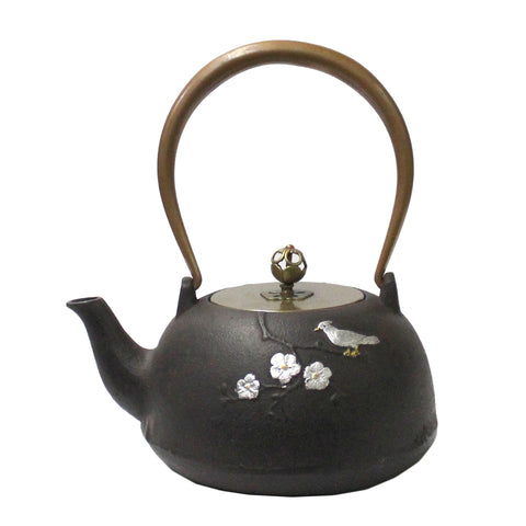 Handmade Quality Asian Heavy Cast Iron Teapot Shape Display Art cs4797S