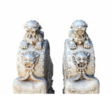 Chinese Pair White Marble Stone Fengshui Foo Dogs Door Block Drum Statue cs6969S