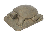 Gray Brown Color Stone Turtle Lotus Zen Garden Figure mh165S