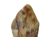 Chinese Shou Shan Stone Carved Tree Scenery Display Figure ws4670S