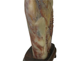 Chinese Shou Shan Stone Carved Tree Scenery Display Figure ws4670S