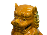 Pair Chinese Tri-Color Mustard Yellow Glaze Fengshui Lions Foo Dogs GB402S cs2368