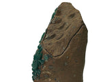 Vintage Naturalistic Scholars Rock Sculpture Dark Green Stone Cicada Accent GB898S