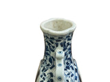 Chinese Blue White Porcelain MoonFlask Scenery Graphic Art Vase ws5022S