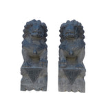 24" Chinese Medium Pair Black Gray Stone Fengshui Foo Dog Statues cs7253S