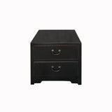 Oriental Black Lacquer 2 Drawers End Table Nightstand Cabinet cs7595S