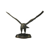 Handmade Artistic Bronze Metal Color Flying Eagle Display Figure ws4795S