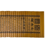 Chinese Preface to Lanting Poem Engravement Bamboo Strips Scroll Art ws3251S