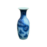 Pair Deep Blue Dragon Koi Fish Graphic Tall Porcelain Art Vases ws4894PS