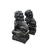 Chinese 32" Tall Pair Black Gray Stone Fengshui Foo Dog Lion Statues cs7664S