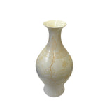 Small Chinese Off White Porcelain Dimensional Flower Bird Pattern Vase ws3257S