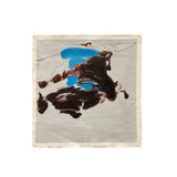 Oil Paint Canvas Art Blue Dress Riding Black Horse Wall Decor Painting ws3415S
