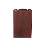 Chinese Brown Rectangular Glass Door Wall Mount Curio Display Chest ws4589S