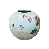 Vintage Chinese Famille Rose Bird & Peony Porcelain Jar Vase ws4956S