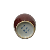 Chinese Vintage Brick Red Round Long Neck Porcelain Art Vase ws3405S
