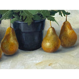 Oil Paint Canvas Art Pears White Little Flowers Scroll Painting ws3452S