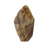 Chinese Shou Shan Stone Carved Tree Scenery Display Figure ws4670S