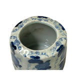 Chinese Blue White Porcelain Round Vine Fruit Graphic Small Vase ws4904S