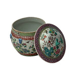 Vintage Chinese Turquoise Ceramic Enamel Flower Birds Theme Fat Jar ws3527S