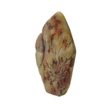 Chinese Shou Shan Stone Carved Tree Scenery Display Figure ws4670S