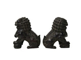 Pair Dark Brown Black Resin Fengshui Foo Dog Lions Figure ws5072S