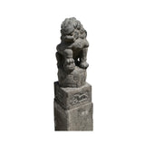 Chinese Pair Gray Stone Fengshui Foo Dogs Lion Slim Pole Statues cs7614S