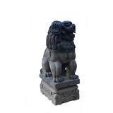Large Chinese Black Gray Stone Fengshui Foo Dog Statue cs6987S