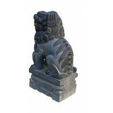 Large Chinese Black Gray Stone Fengshui Foo Dog Statue cs6987S