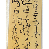 Chinese Calligraphy Ink Writing Scroll Painting Wall Art ws2145S