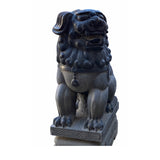 Large Chinese Black Gray Stone Fengshui Foo Dog Statue cs6987S