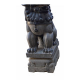 Large Chinese Black Gray Stone Fengshui Foo Dog Statue cs6987S