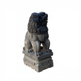 Large Chinese Black Gray Stone Fengshui Foo Dog Statue cs6987S