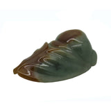 cicada jade