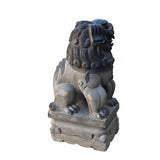 Large Chinese Black Gray Stone Fengshui Foo Dog Statue cs6987S