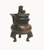 Chinese Bronze Foo Dogs Gold Graphic Incense Burner 
