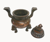 Chinese Bronze Foo Dogs Gold Graphic Incense Burner wk2506S