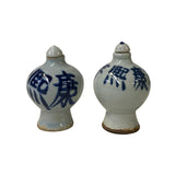 blue white porcelain bottle - oriental snuff bottle art 