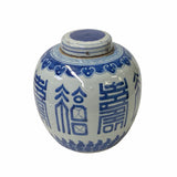 Hand-paint Fok Longevity Characters Blue White Porcelain Ginger Jar ws1750S