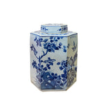 chinese blue white porcelain jar - hexagonal shape jar - flower birds graphic jar