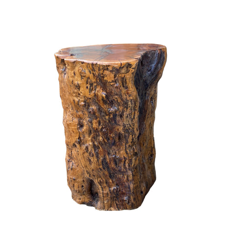 irregular shape wood stool - aisan jojoba tree stem table 