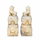 Chinese Pair White Marble Stone Fengshui Foo Dogs Statues cs6970S