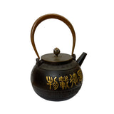 Handmade Quality Asian Cast Iron Teapot Shape Display Art ws2374S