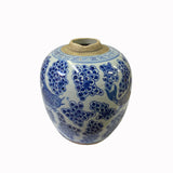 Oriental Handpaint Fishes Small Blue White Porcelain Ginger Jar ws2325S