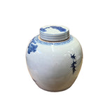 Chinese Hand-paint Kid Kirin Blue White Porcelain Ginger Jar ws2817S